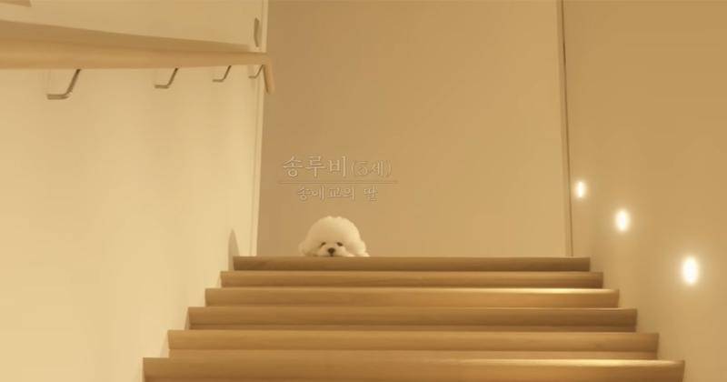 Youtube.com/걍밍경